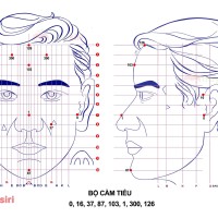 Bộ Cầm Tiểu Diện Chẩn