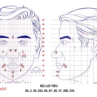 Bộ Lợi Tiểu Diện Chẩn