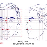Bộ Nội Tiết Tố Diện Chẩn