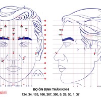 Bộ Ổn Định Thần Kinh Diện Chẩn