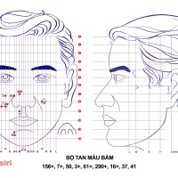 Bộ Tan Máu Bầm Diện Chẩn