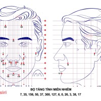 Bộ Tăng Cường Tính Miễn Nhiễm