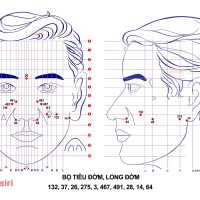 Bô Tiêu Đờm, Long Đờm Diện Chẩn