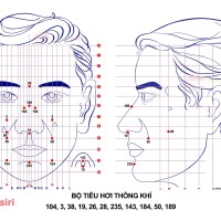 Bộ Tiêu Hơi Thông Khí Diện Chẩn
