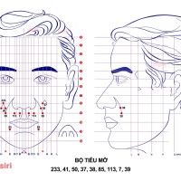 Bộ Tiêu Mỡ Diện Chẩn