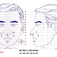 Bộ Tiêu U, Tiêu Bướu Diện Chẩn