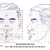 Bộ Trừ Đàm Thấp Thuỷ Diện Chẩn