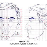 Chữa bệnh huyết áp cao bằng diện chẩn