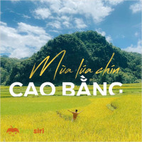 Du lịch Cao Bằng - Hành trình khám phá văn hoá và lịch sử tuyệt vời