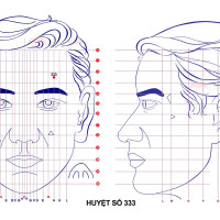 Huyệt số 333 diện chẩn