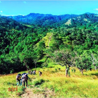 Khám phá Trekking Lâm Đồng: hành trình chạm đến thiên nhiên tuyệt đẹp!
