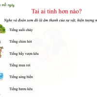 Trò chơi 